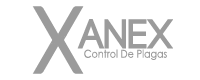 Xanex